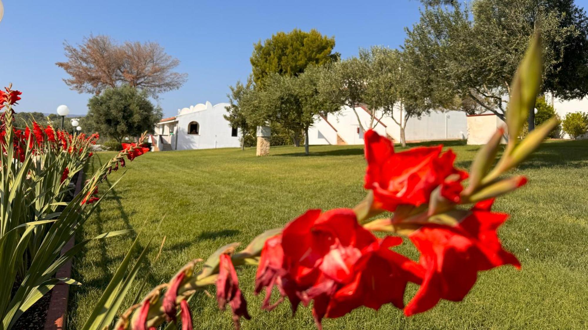 Villaggio Idra Residence Vieste Exterior photo